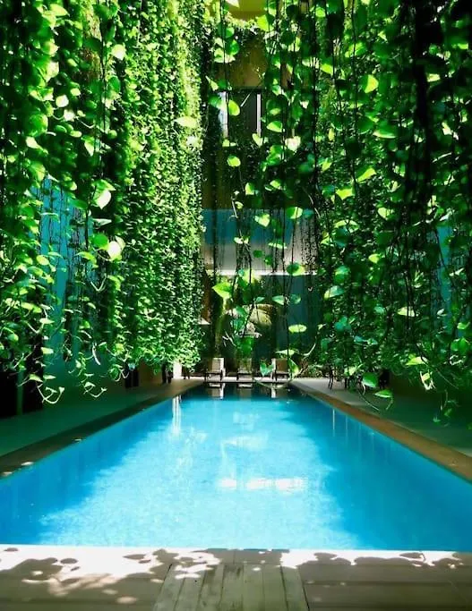 Moderno 1Br Sauna Gimnasio Alberca A Cuadras De La 5Ta Av Centro 신데 델 카르멘 0*,